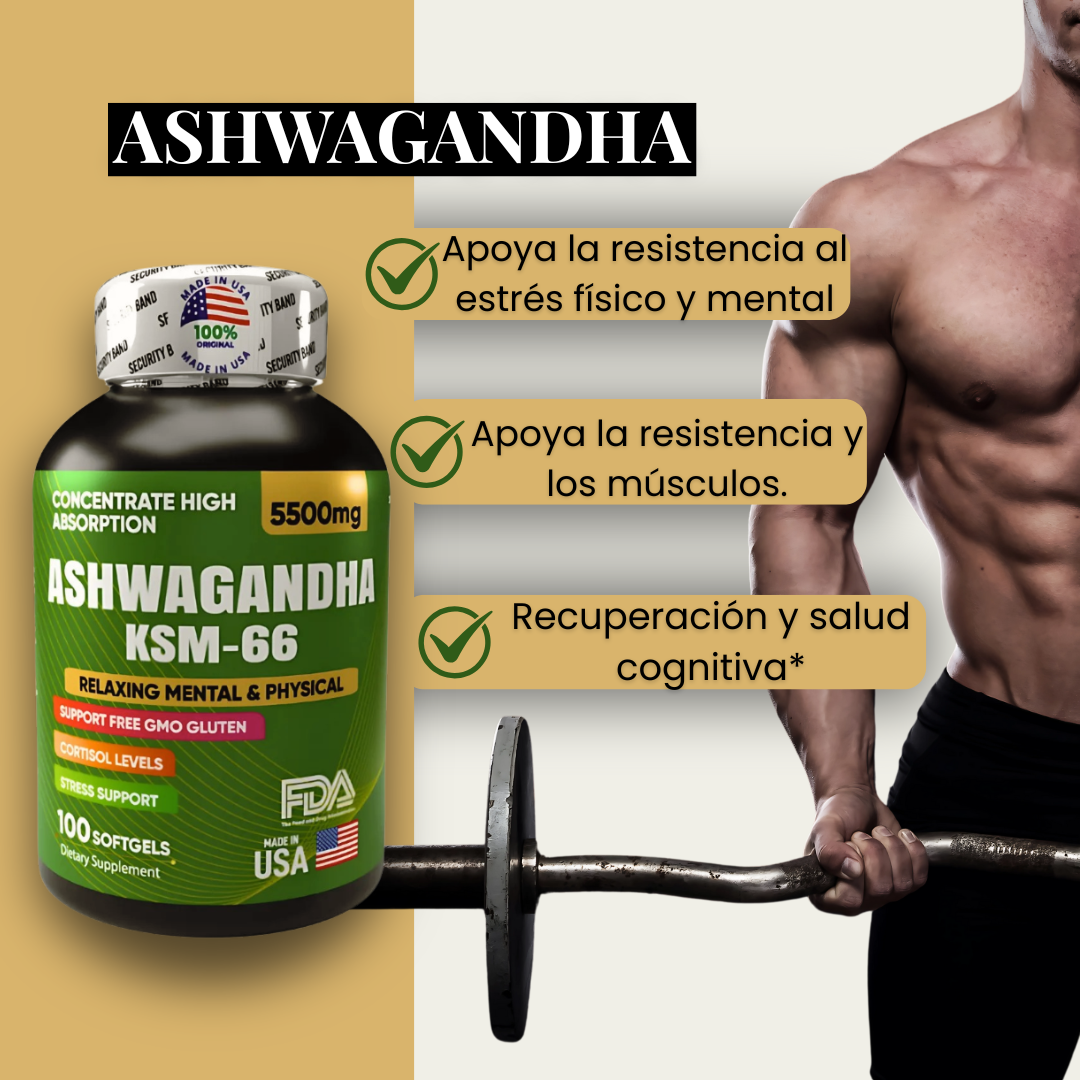 Ashwagandha KSM66 combo x 2 und