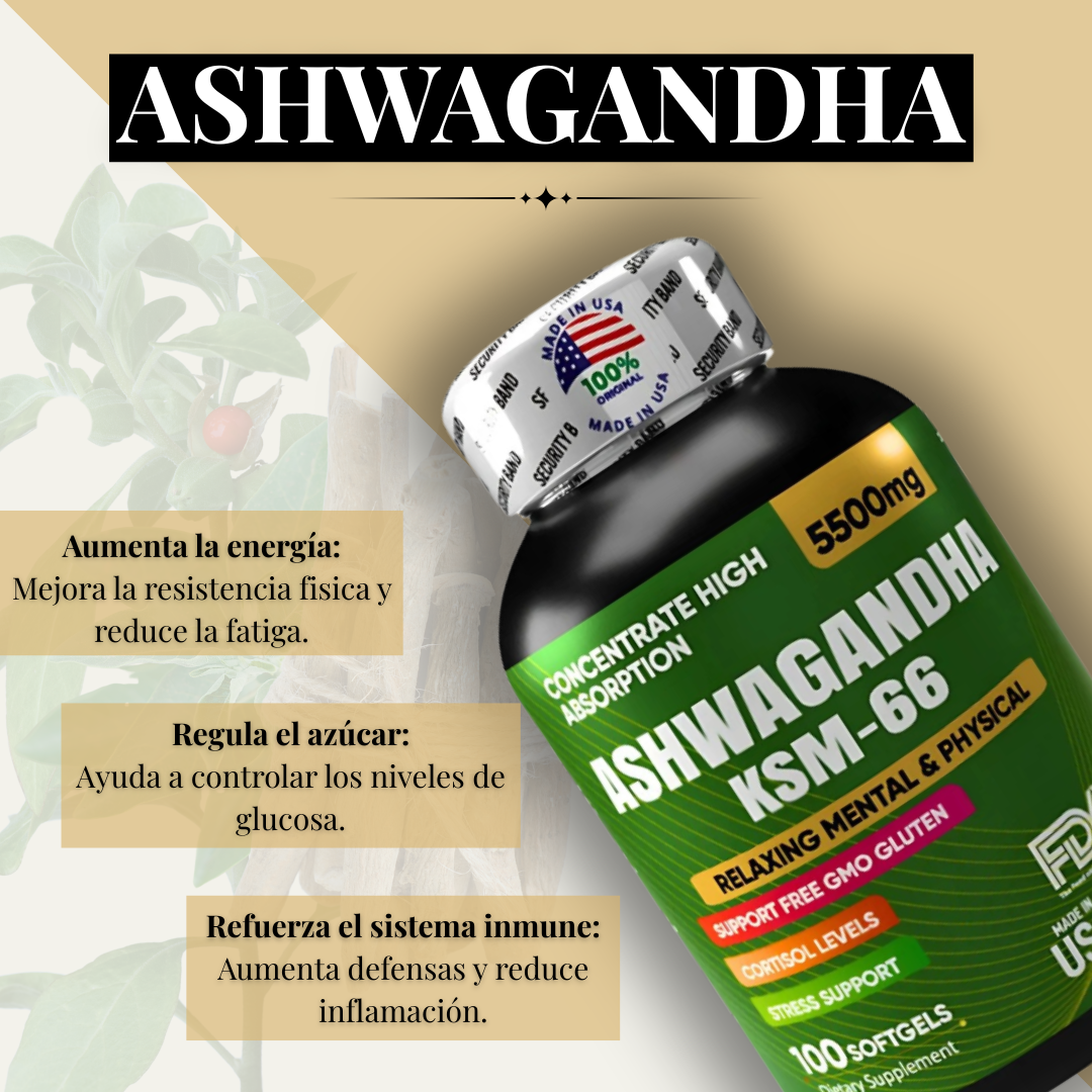 Ashwagandha KSM66 combo x 2 und